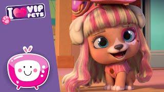 Birthday PARTY  VIP PETS  New Episode  Cartoons for KIDS in ENGLISH