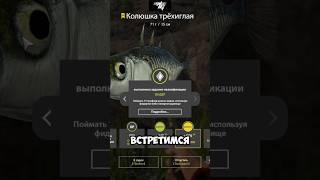 Трофейная Колюшка трехиглая на озере Ладожское / Русская рыбалка 4 / Russian fishing 4 / #рр4