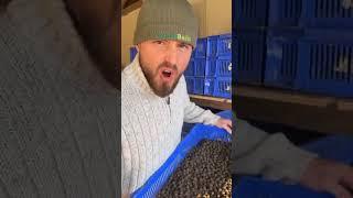Inside The Parker Baits Factory!