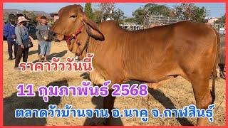 #ราคาวัววันนี้ 11 กุมภาพันธ์ 2568 #ตลาดวัวบ้านจาน #อำเภอนาคูจังหวัดกาฬสินธุ์