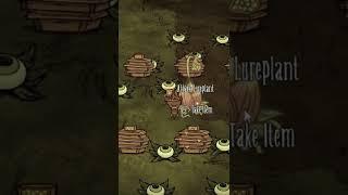 бесконечные цветы в Don't Starve Together #shorts #dst #донтстарв #dontstarvetogether #дст #пчелы