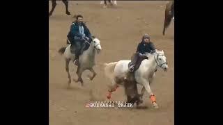 АСП БО НОМИ СЕНАТОР #buzkashi #бузкаши #uloq #kokpar #казакша #киргиз #кокбору #улок #ot #tulpar #uz