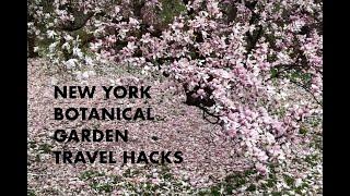 Insider guide to the New York Botanical Garden: Top 3 hacks