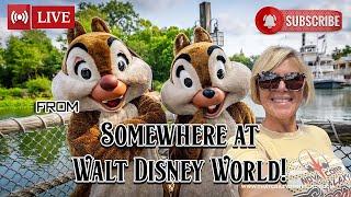Live from Somewhere at Walt Disney World #live 5/20/25