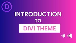 Divi Theme Options - General