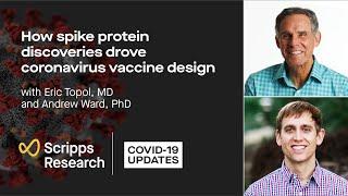 How spike protein discoveries drove coronavirus vaccine design