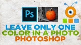 How to Leave Only One Color in a Photo in Photoshop