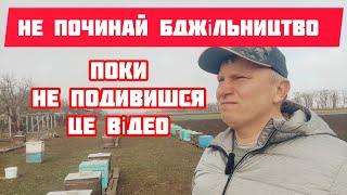 Покрокова інструкція для початківців у бджільництві, як розпочати діяльність