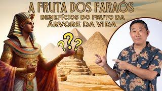 A FRUTA SAGRADA DOS FARAÓS: DESCUBRA SEUS SEGREDOS MILENARES! | Peter Liu