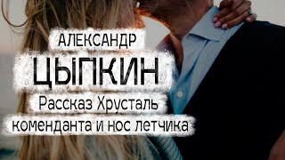 Александр Цыпкин рассказ "Хрусталь коменданта и нос летчика" Читает Андрей Лукашенко