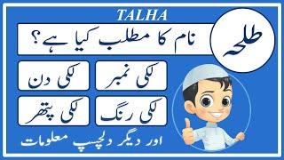 Talha Name Meaning in Urdu | Talha Naam Ka Matlab Kya Hai طلحہ | Amal Info TV