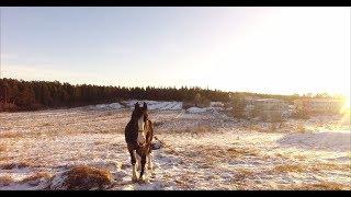 Солнечный январский день на Валааме