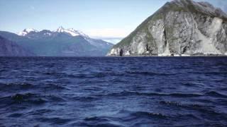 Making of a Refuge:  Alaska Peninsula, Mitrofania Island to Sutwik Island