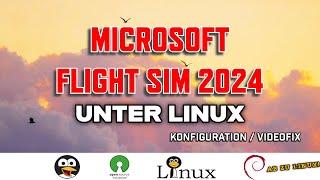 Microsoft Flightsimulator 2024 unter Linux - Konfiguration, Proton und Videocodec Problemlösung