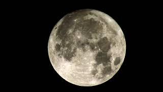 FULL MOON VIDEO HD   Free Stock Footage   Free HD Video   no copyright Full HD