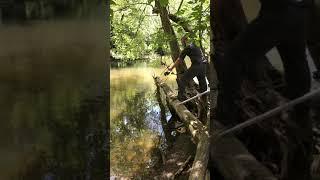 Arrow vs log = close call!