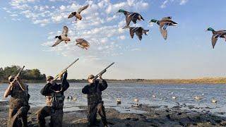 WINDY Day Duck Hunting (All GREEN 4 Man Limit)