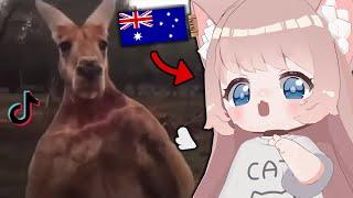 Australian Reacts to Australian Tiktok's | VTuber Fuwa Reacts to Australian Memes