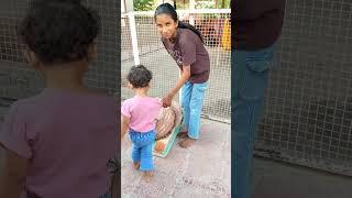 lavi ko mandir pr pasand aaya lion  #shorts #trendingshorts #viral