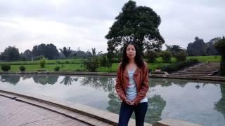 Proceso practicas emgesa-codensa Daniela Casadiego