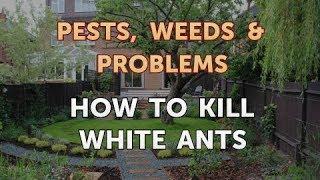 How to Kill White Ants