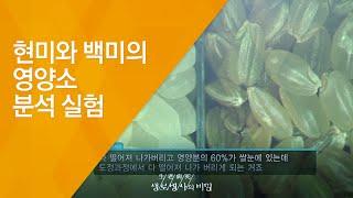 현미와 백미의 영양소 분석 실험 - (20130323_453회 방송)_거칠게 먹어라, 곡물의 재발견