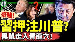 習近平押川普贏，愁武統要廢？中共對川普稱呼首度曝光，松鼠花生成2024美國總統大選黑兔，賀錦麗著急？廣東獨立後續（老北京茶馆/第1281集/2024/11/04）