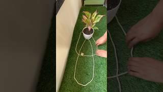 How to tie a knot for hanging planters? #ashortaday #gardening
