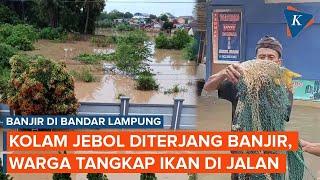 Kolam Jebol karena Banjir di Bandar Lampung, Warga Ramai-ramai Tangkap Ikan di Jalan