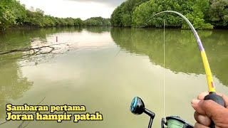 Niat mancing kakap putih malah disambar ikan besar penunggu akar pohon bakau