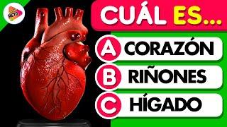 ¿Cuánto Sabes del CUERPO HUMANO? 🫁️ | 35 Preguntas | Trivia-Reto