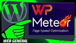 WordPress JavaScript verzögert laden mit WP Meteor