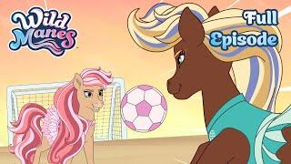 Tilly on the Ball  Full Episode  Wild Manes | Ep. 34 | Girls Cartoon