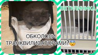 Стационар для животных в Московской ветклинике/лечение или выкачка денег?Накачали транквилизаторами