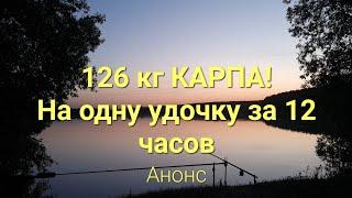 126 кг карпа на одну удочку за 12 часов!