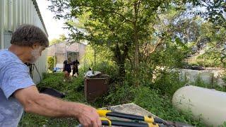 Relocating a Wasp Nest