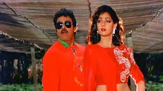 Chiranjeevi, Sridevi Evergreen Superhit Video Song | Ammani Tiyyani Debba Telugu Song