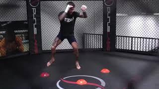 CODY NOLOVE X MIKE MALOTT BOXING SESSION 