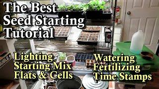 A Complete Guide for Starting Seeds Indoors  (Lighting, Seed Mix, Cells, Watering, & Fertilizing)