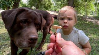 Dog and Toddler Learning New Things! Cutest Reactions!