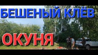 БЕШЕНЫЙ КЛЕВ ОКУНЯ