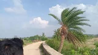 1st Tour of Bamba Dam