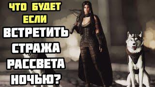 Что Будет Если Встретить НОЧЬЮ Стража Рассвета? Skyrim