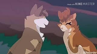 Warriors Cats - song ,, Stitches ''