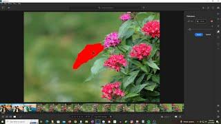 Remove An Object In LightRoom 7.4.1