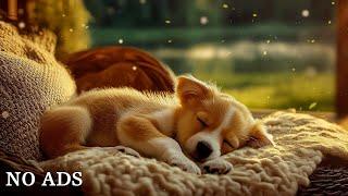 12 Hours of Dog Calming Music for PuppiesMusic to Relieve Separation AnxietyPuppy Relaxation