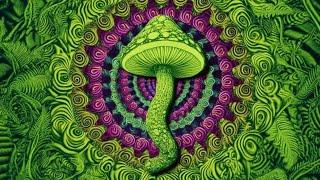 Psy Dub Visual Trip | Magic Mushroom Animation | Psychedelic Dub Mix