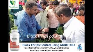 Control of Black Thrips using AGRO-KILL | WA 7623999923