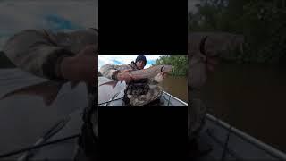 Царь рыба! Вот повезло так повезло!