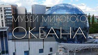 Видео с дрона. Музей мирового океана (The Museum of the World Ocean) Калининград